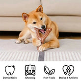 Teething Bones Dog Chew Toy - Bacon-Flavored Tektoty